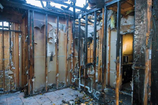 Professional Fire Damage Assessment technician working in Metlakatla, AK